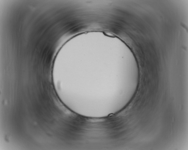 X0000097511296200803142033