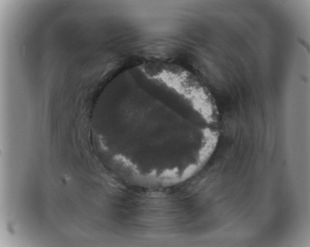 X0000097511297200803142032