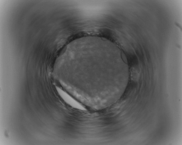 X0000097511298200803142032