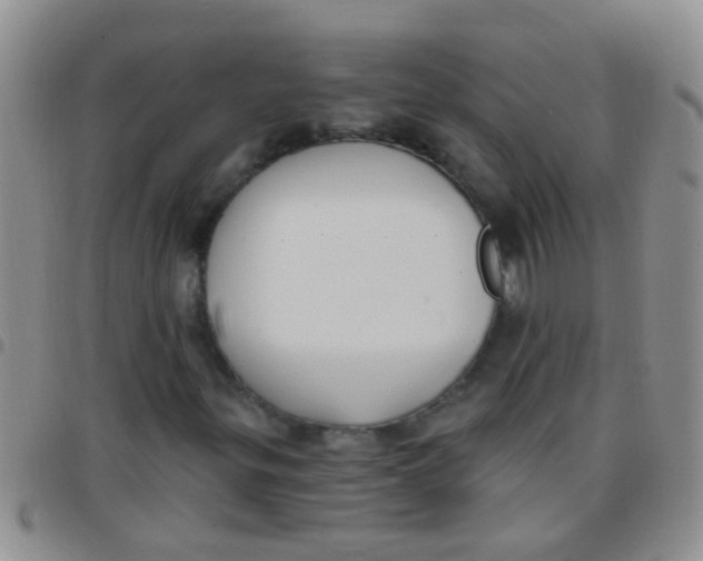 X0000097511299200803142032