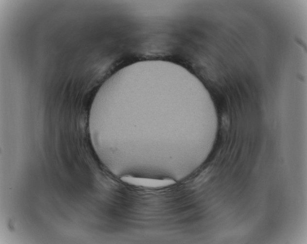 X0000097511300200803142032