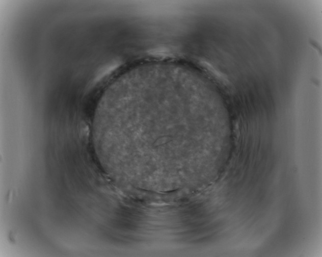 X0000097511302200803142032