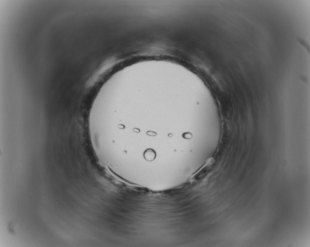 X0000097511304200803142032