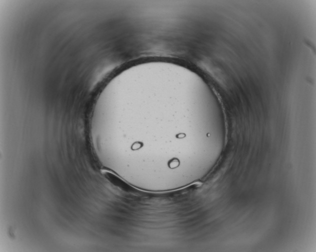 X0000097511307200803142032