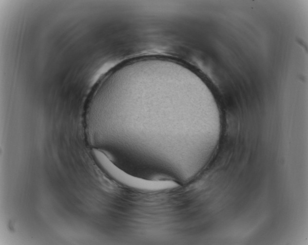 X0000097511308200803142032