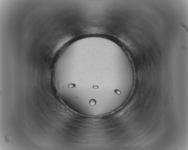 X0000097511309200803142032