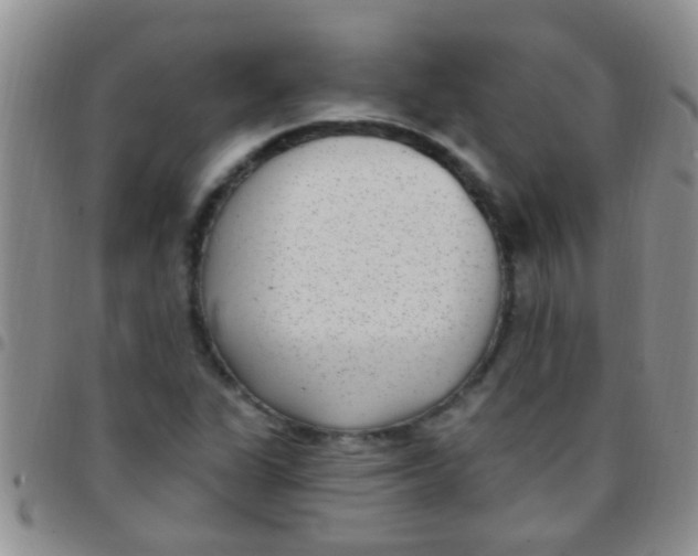 X0000097511311200803142032