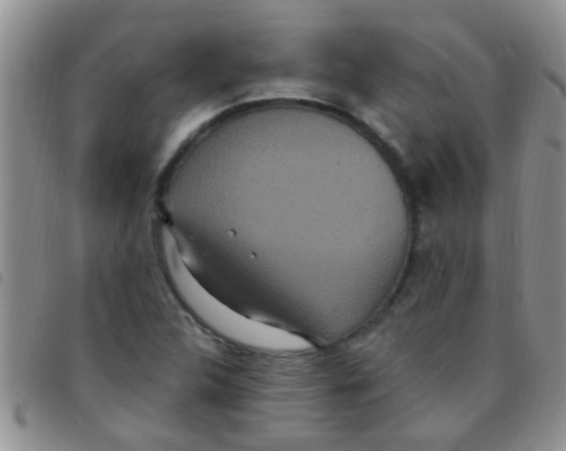 X0000097511312200803142032