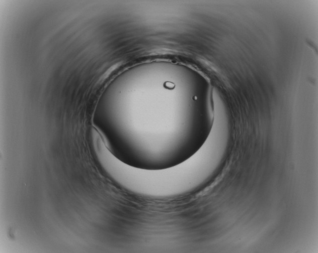 X0000097511313200803142032