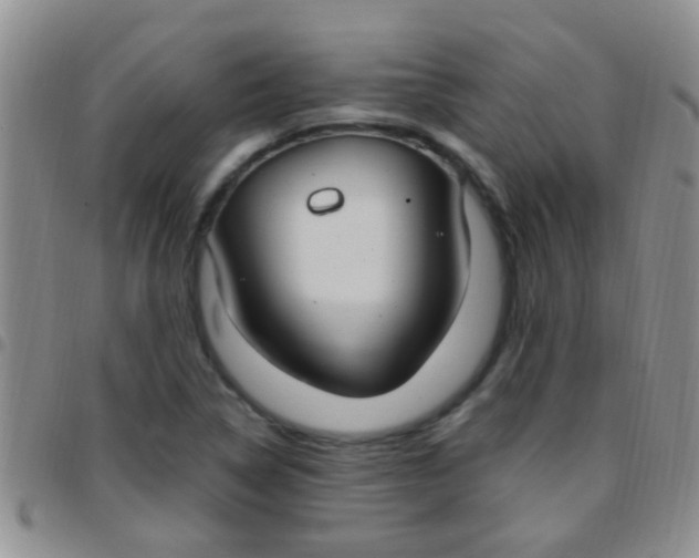 X0000097511314200803142032