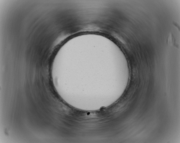 X0000097511315200803142032