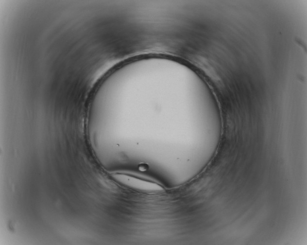 X0000097511316200803142032