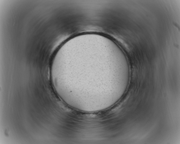 X0000097511317200803142032