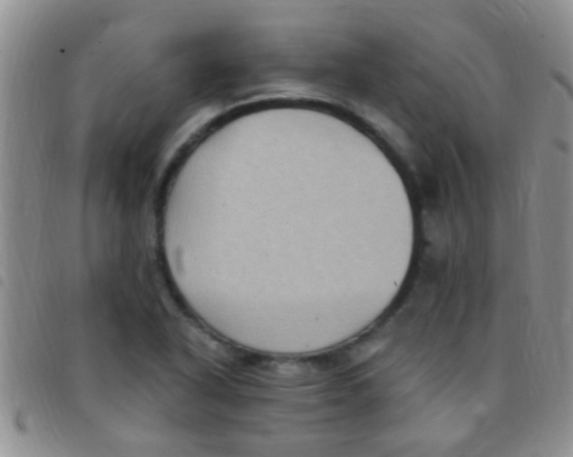 X0000097511318200803142032