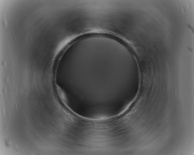 X0000097511319200803142032