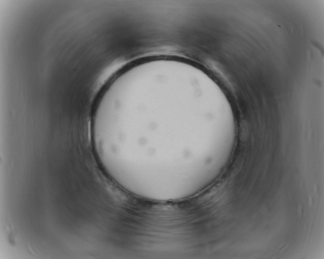 X0000097511320200803142032