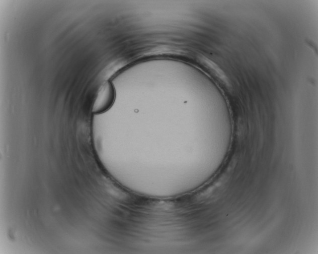 X0000097511321200803142032