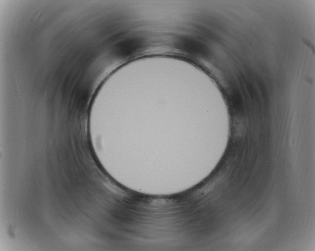 X0000097511322200803142032