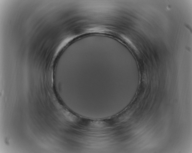 X0000097511323200803142032