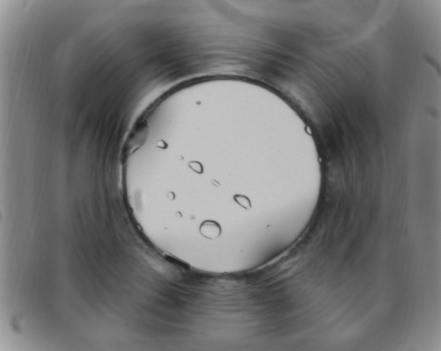 X0000097511324200803142032