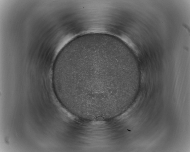 X0000097511325200803142032