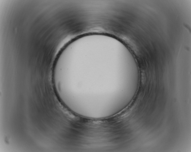 X0000097511326200803142033