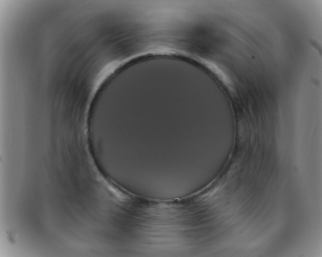 X0000097511327200803142033