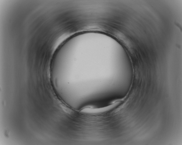 X0000097511328200803142033