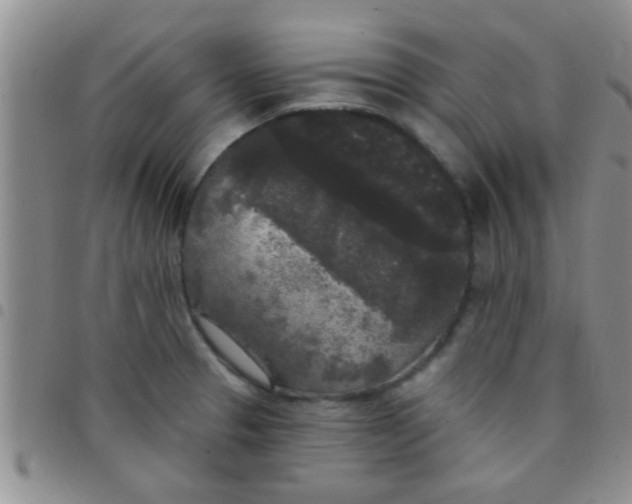 X0000097511329200803142033