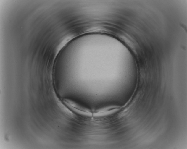 X0000097511330200803142033