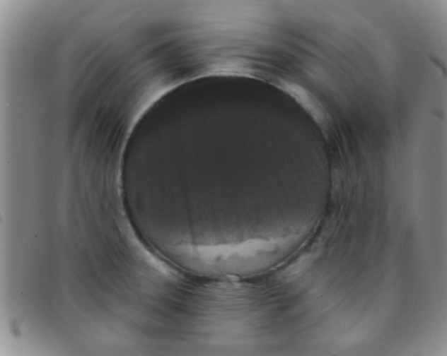 X0000097511331200803142033