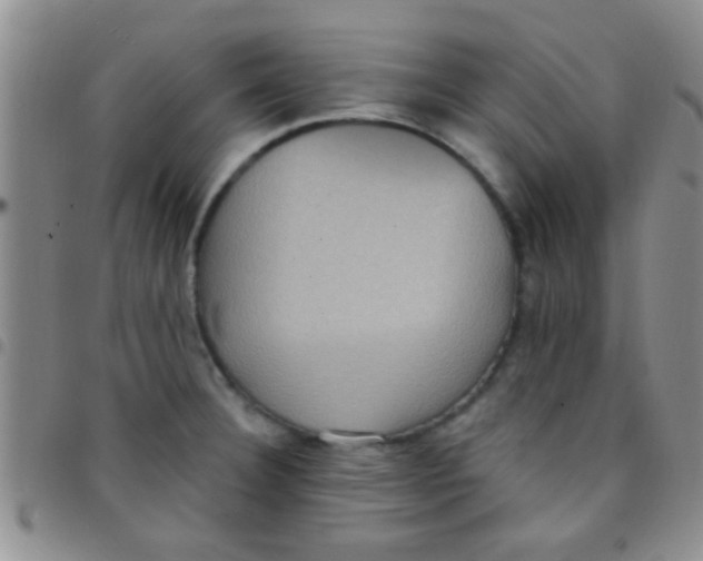 X0000097511332200803142033