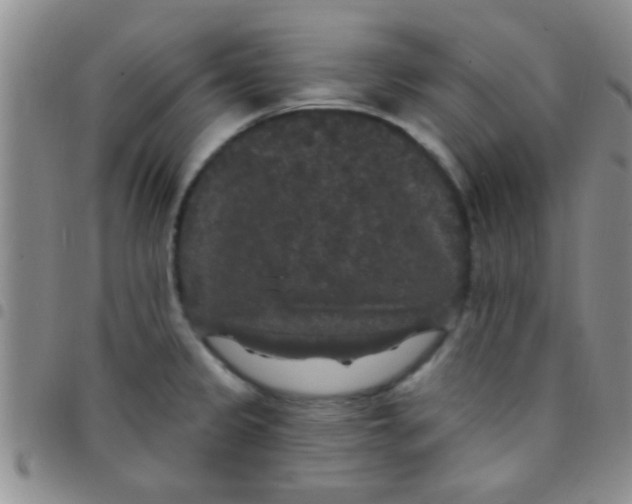 X0000097511333200803142033