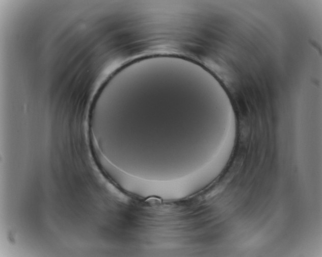 X0000097511334200803142033