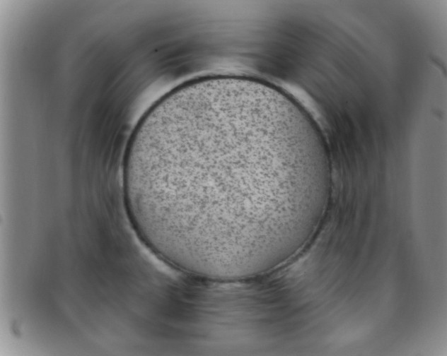 X0000097511335200803142033