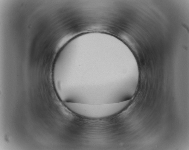 X0000097511336200803142033