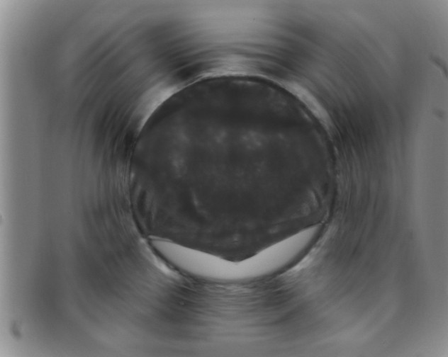 X0000097511337200803142033