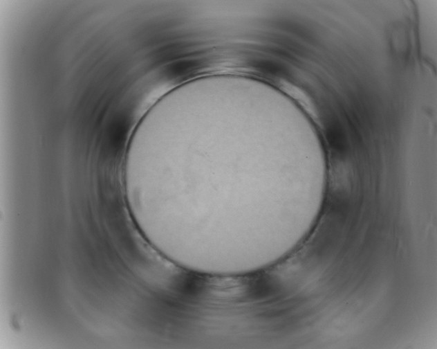 X0000097511338200803142033