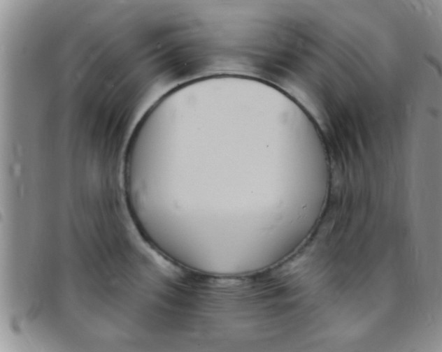 X0000097511339200803142033