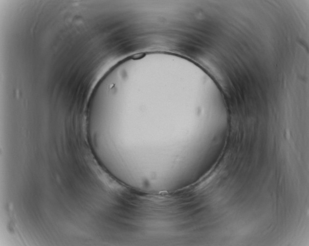 X0000097511340200803142033