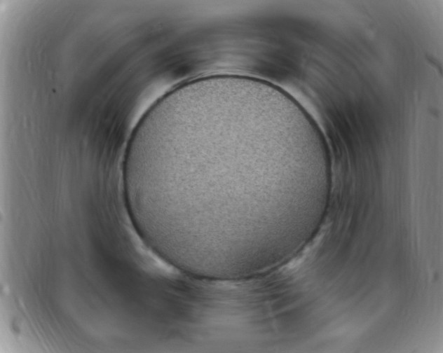 X0000097511341200803142033