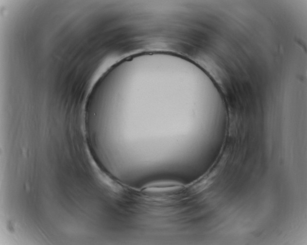 X0000097511342200803142033