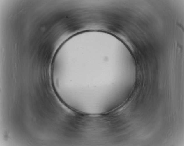 X0000097511343200803142033