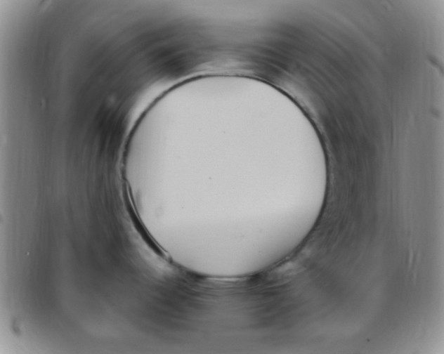 X0000097511344200803142033