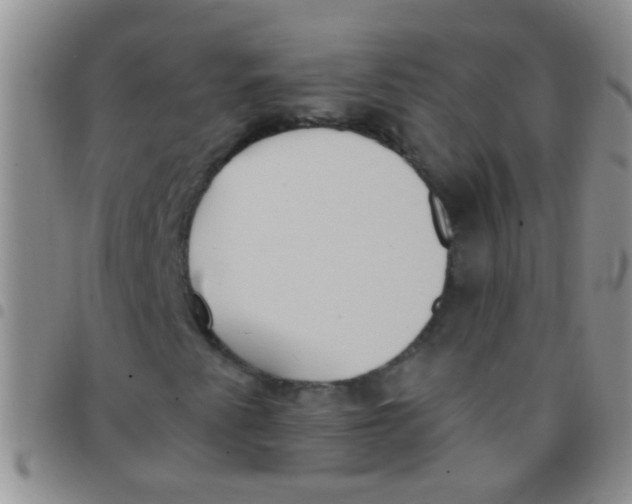 X0000097511345200803142032