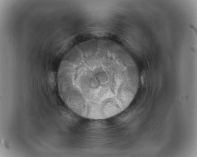 X0000097511347200803142032