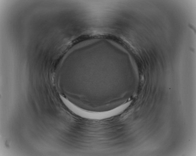 X0000097511348200803142032