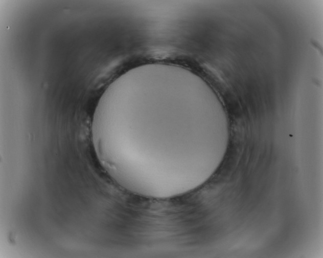 X0000097511349200803142032