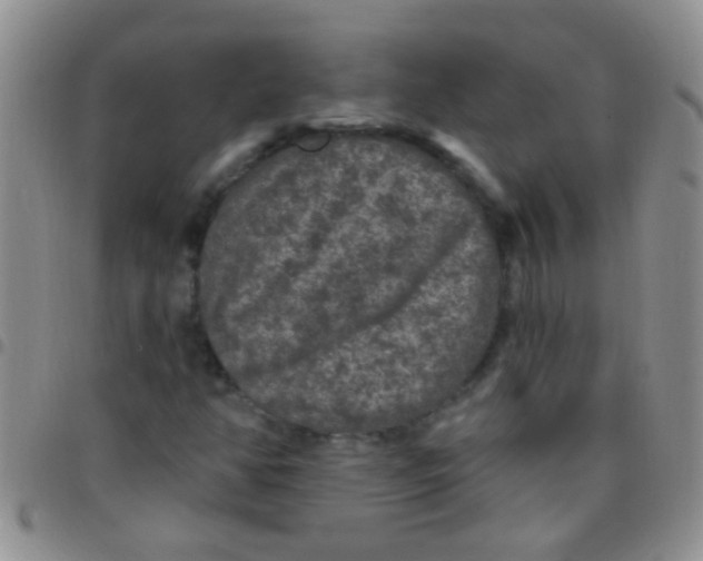 X0000097511350200803142032