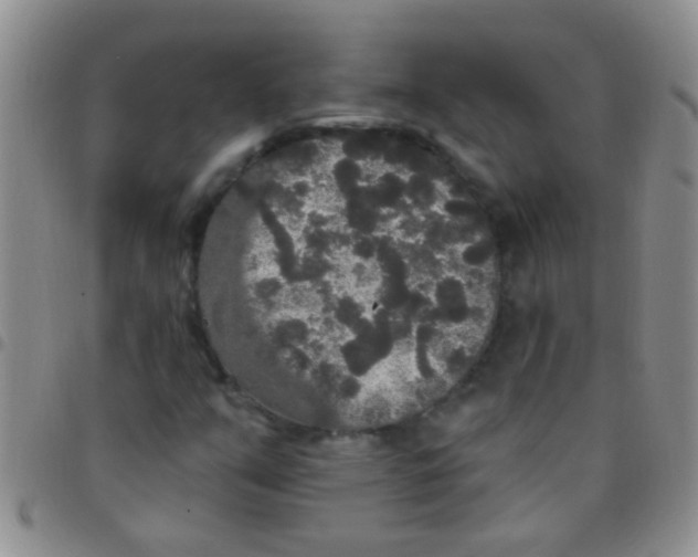 X0000097511351200803142032